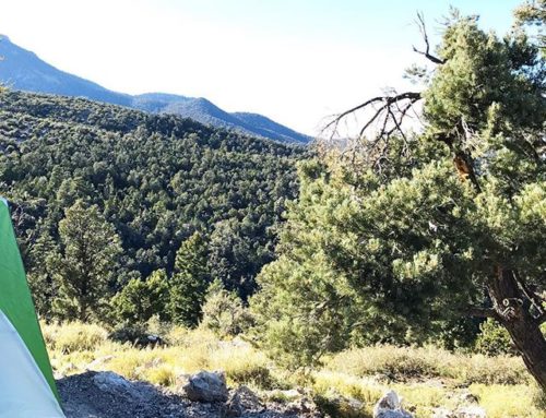 Camping views #homemeansnevada